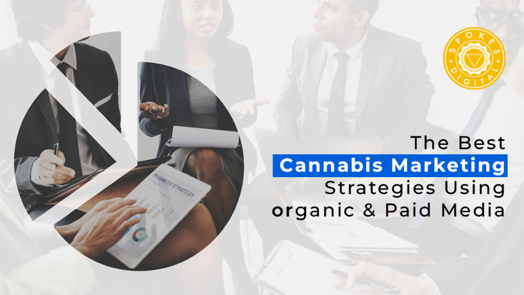 The Best Cannabis Marketing Strategies Using Organic and Paid Media